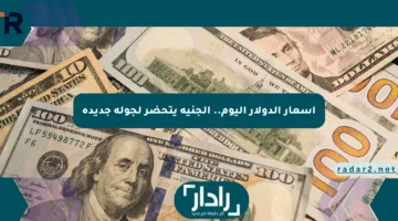 أسعار الدولار اليوم.. الجنيه يتحضر لجولة جديدة
